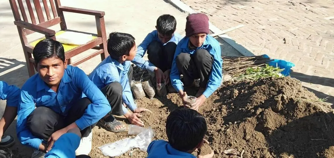 Green Seekers Activity
